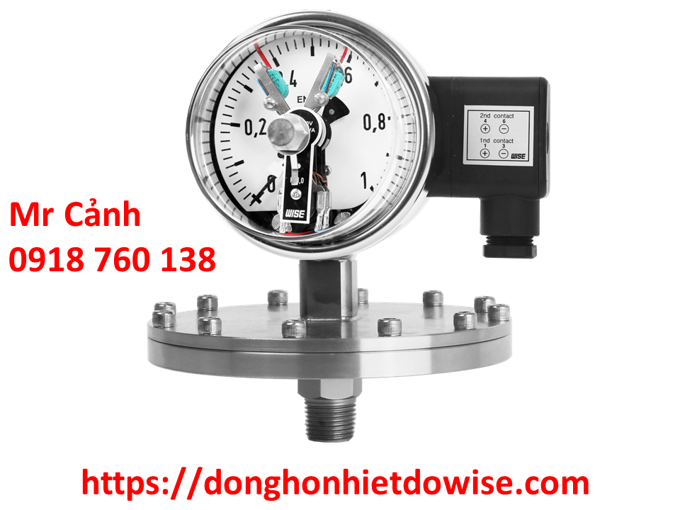 Đồng hồ áp suất WISE P501 P502