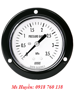 Đồng hồ áp suất WISE P112