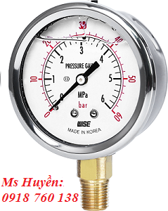 Đồng hồ áp suất WISE P254 (Vỏ inox chân đồng, có dầu)